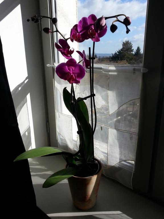 Relais St Jacques - Roanne Bed & Breakfast Saint-Haon-le-Chatel Luaran gambar